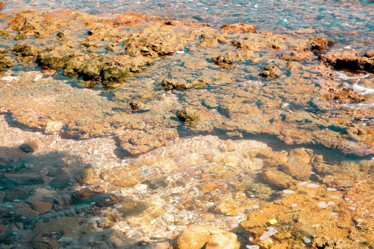Pearl Mirissa Hotel Kültér fotó